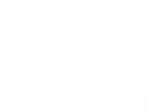Palazo